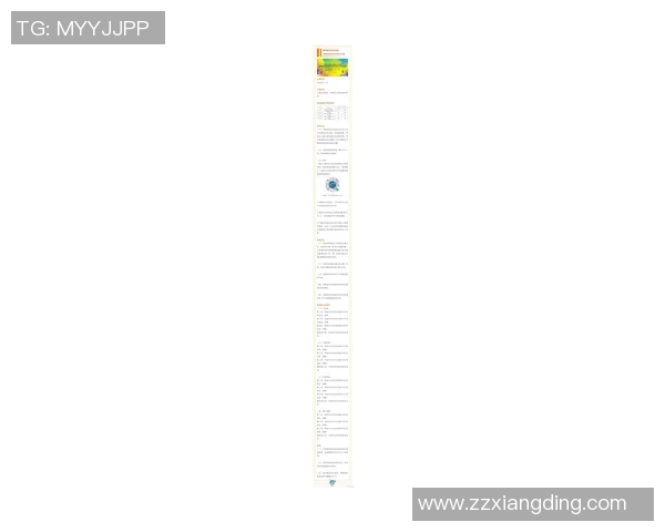 上海乒乓球队挑战赛特别报道聚焦转型之路与未来发展新机遇
